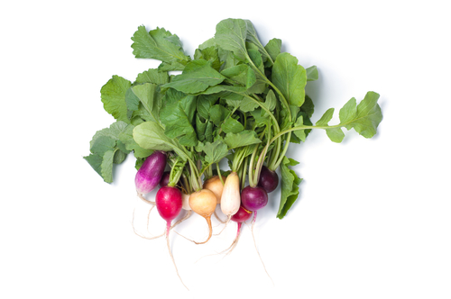 RAINBOW RADISH