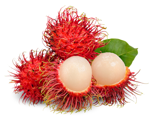 RAMBUTAN