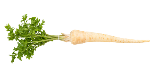 PARSLEY ROOT 