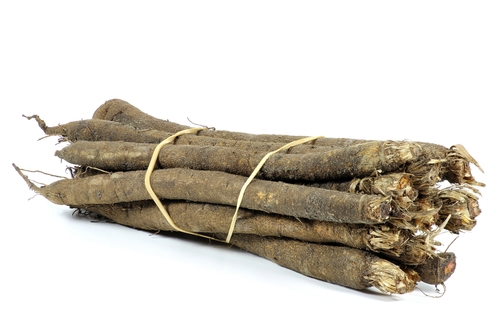 SALSIFY  