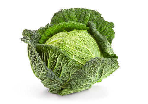 CABBAGE SAVOY 