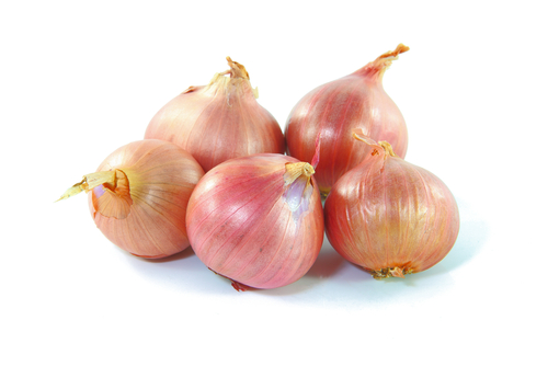 SHALLOTS ROUND 