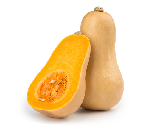 SQUASH BUTERNUT 