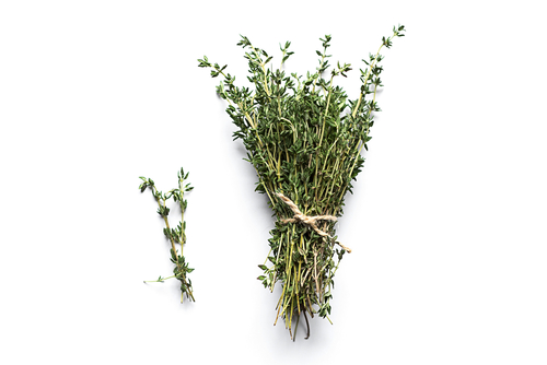 THYME  