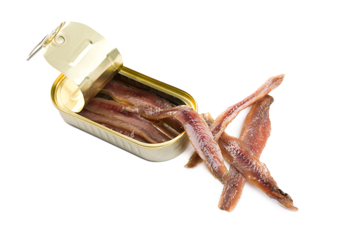 ANCHOVIES TIN 