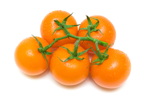 TOMATO ORANGE 