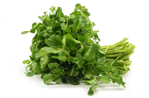 WATERCRESS 